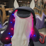 visumlight
