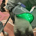 visumlight