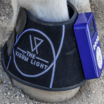 visumlight