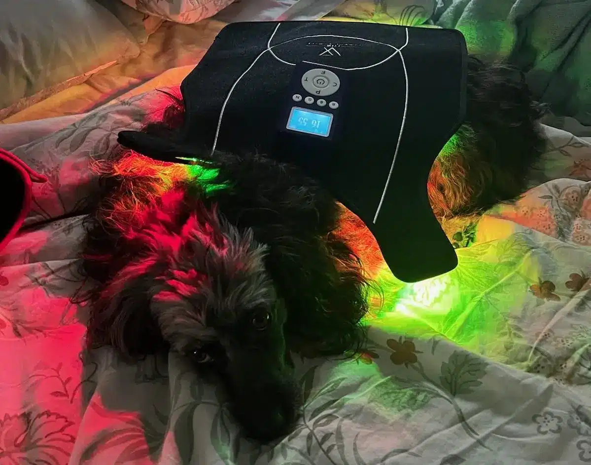 visumlight