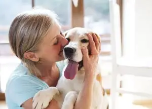 dog's healthy smile