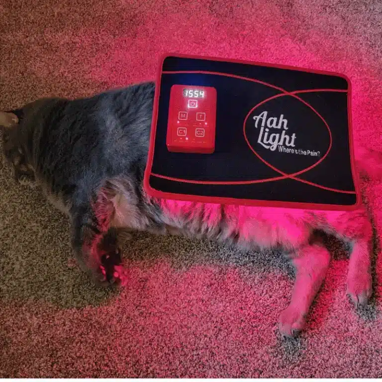 visumlight