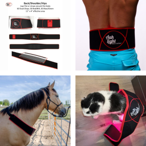 Back/Shoulder/Hips Pad