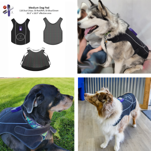Medium/Large Dog Pad