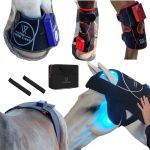visumlight