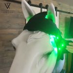 visumlight