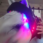visumlight