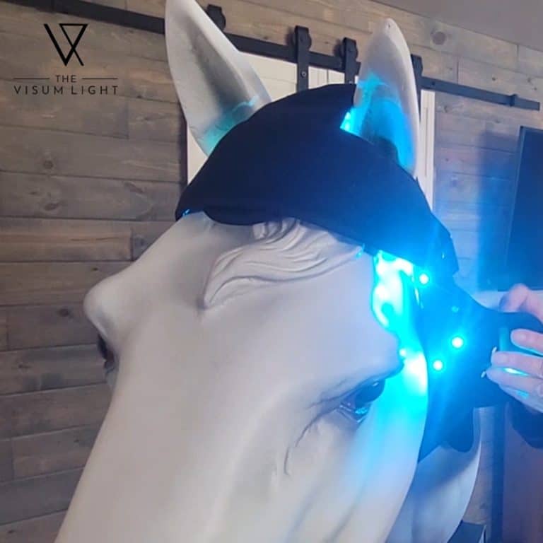 visumlight