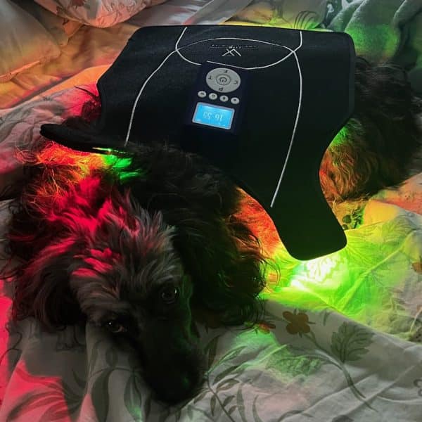 visumlight