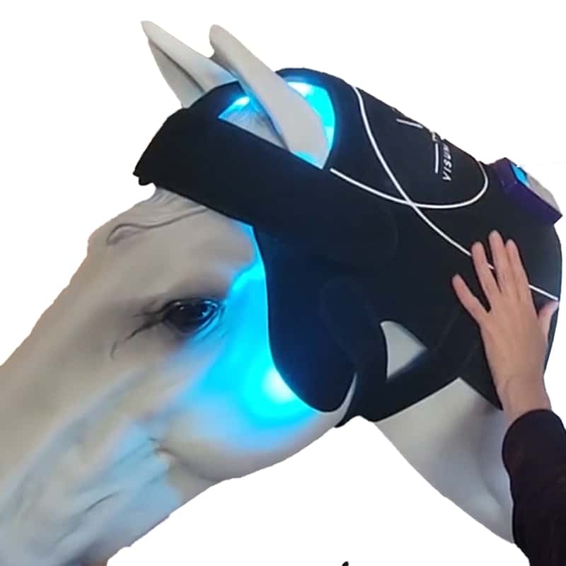 visumlight