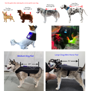 Dog Pads