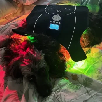 visumlight