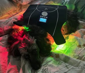 visumlight